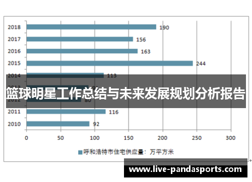 篮球明星工作总结与未来发展规划分析报告