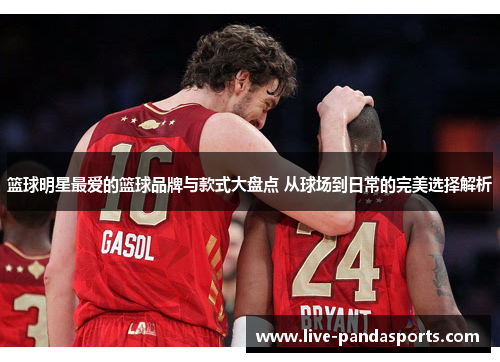 篮球明星最爱的篮球品牌与款式大盘点 从球场到日常的完美选择解析