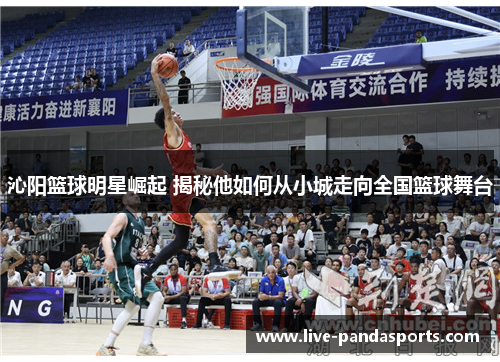 沁阳篮球明星崛起 揭秘他如何从小城走向全国篮球舞台