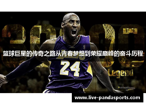 篮球巨星的传奇之路从青春梦想到荣耀巅峰的奋斗历程