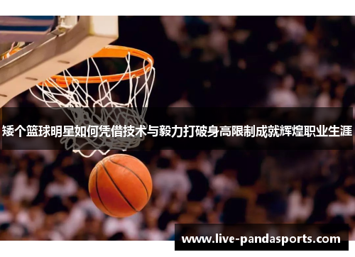 矮个篮球明星如何凭借技术与毅力打破身高限制成就辉煌职业生涯