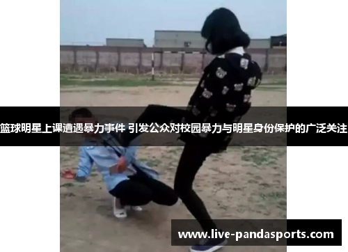 篮球明星上课遭遇暴力事件 引发公众对校园暴力与明星身份保护的广泛关注